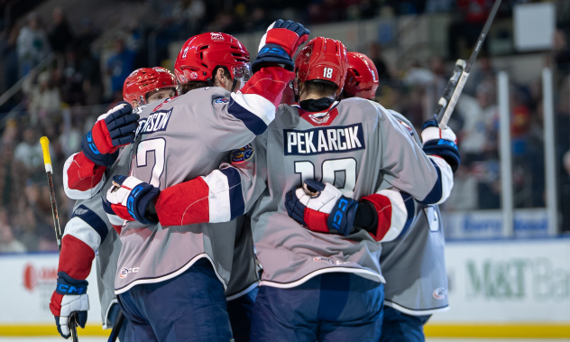 Springfield Thunderbirds celebrate a goal