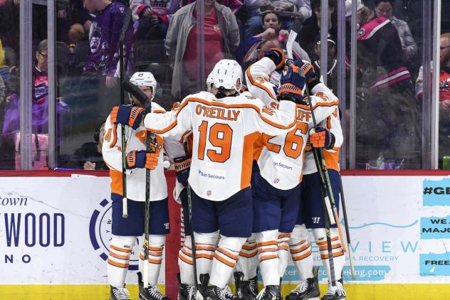 Greenville Swamp Rabbits on game night