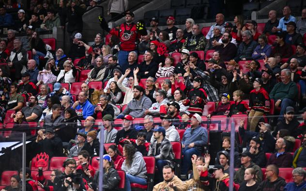 Ottawa Black Bears fans