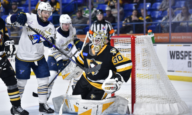 Springfield Thunderbirds pressure the Wilkes-Barre/Scranton Penguins