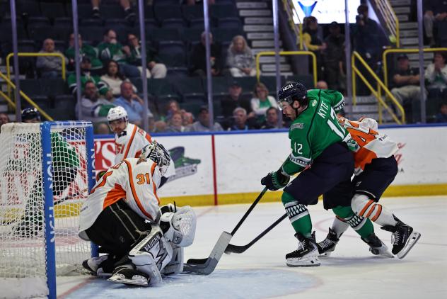 Greenville Swamp Rabbits goaltender Isaiah Saville vs. the Florida Everblades