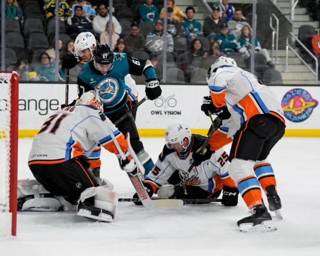 San Jose Barracuda forward Lucas Vanroboys fights for the puck vs. the San Diego Gulls