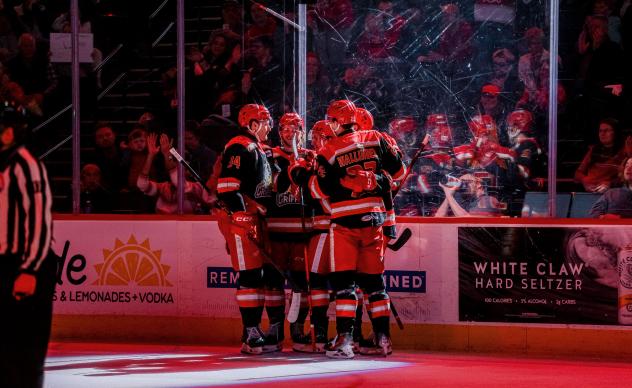 Grand Rapids Griffins goal celebration
