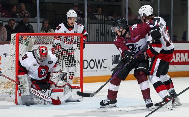 Peterborough Petes right wing Francis Parish looks for a rebound against the Ottawa 67's