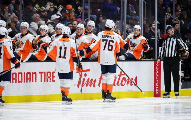 Flint Firebirds exchange congratulations along the bench
