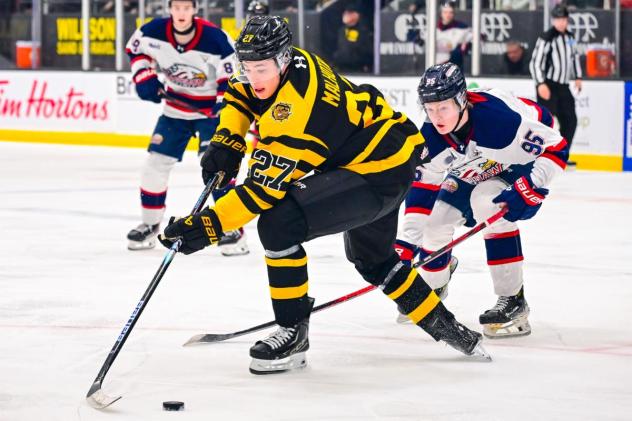 Saginaw Spirit battle the Brantford Bulldogs