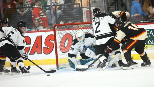 Wichita Thunder goaltender Gabriel Carriere vs. the Indy Fuel