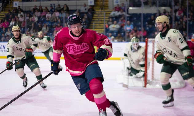 Springfield Thunderbirds forward Otto Stenberg vs. the Iowa Wild