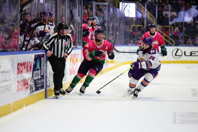 Florida Everblades take on the Orlando Solar Bears