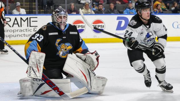Wichita Thunder forward Nick Nardecchia (right) vs. the Toledo Walleye