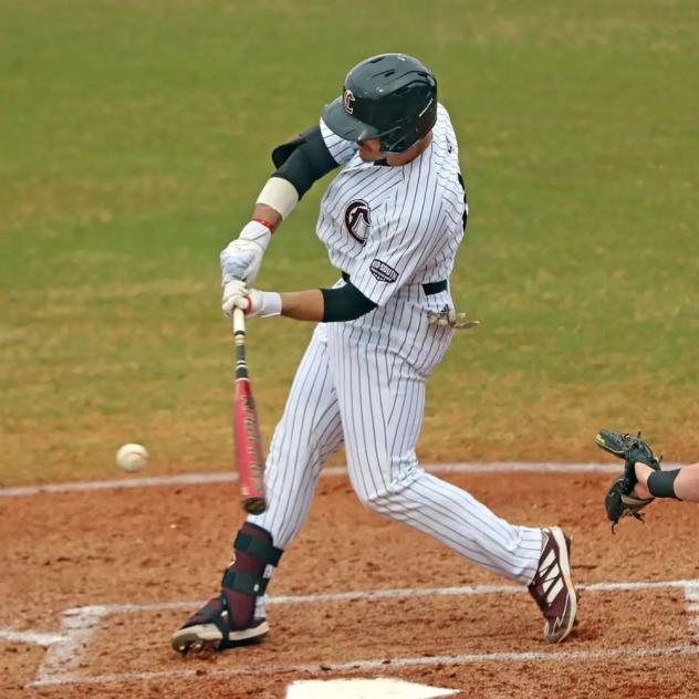 Catcher Eddy Arteaga with Campbellsville (KY) University