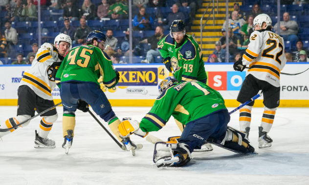 Springfield Thunderbirds goaltender Vadim Zherenko vs. the Providence Bruins