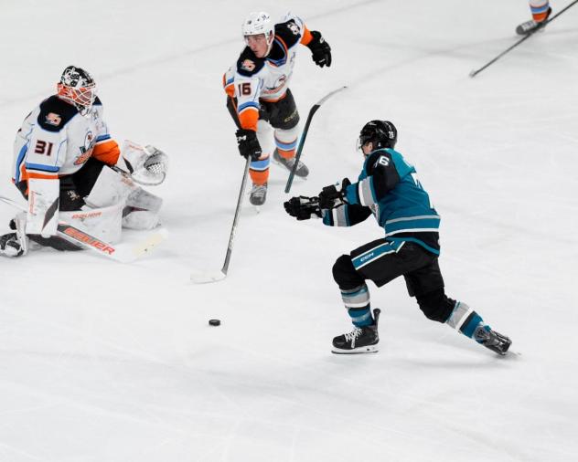 San Jose Barracuda forward Anthony Vincent shoots vs. the San Diego Gulls