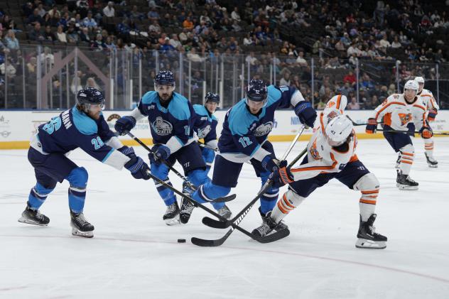 Greenville Swamp Rabbits Battle the Jacksonville Icemen