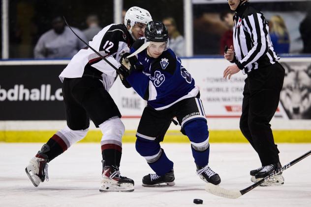 Vancouver Giants' Brett Olson battles Victoria Royals' Miles Cooper