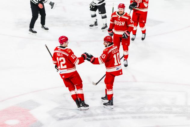Rapid City Rush exchange fist bumps