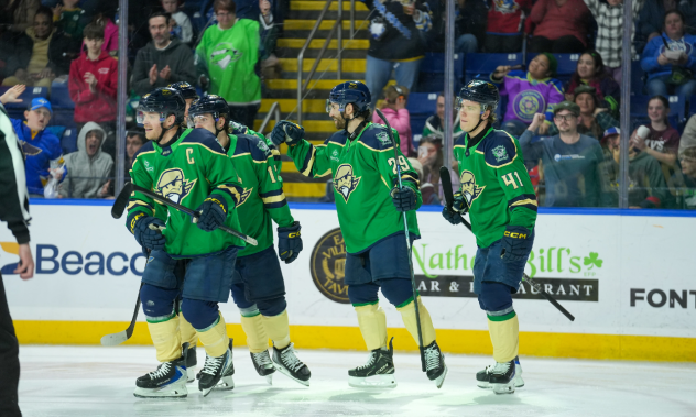 Springfield Thunderbirds exchange congratulations following a goal