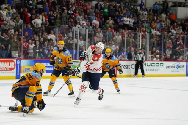 South Carolina Stingrays unleash a shot vs. the Toledo Walleye