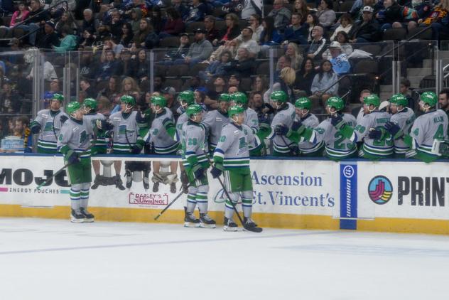 Florida Everblades exchange congratulations along the bench