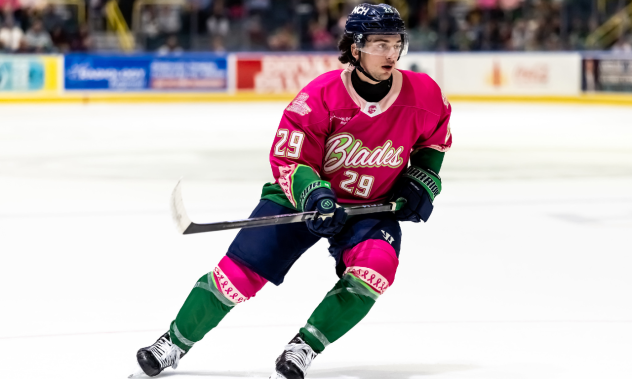 Forward Anthony Romano with the Florida Everblades
