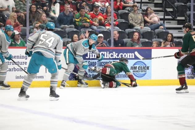 San Jose Barracuda defenseman Noah Beck (70) fishes for the puck vs. the Tucson Roadrunners