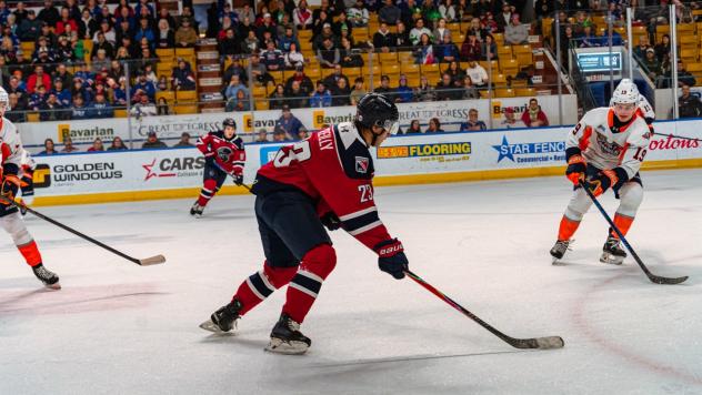Kitchener Rangers centre Sam O'Reilly vs. the Flint Firebirds