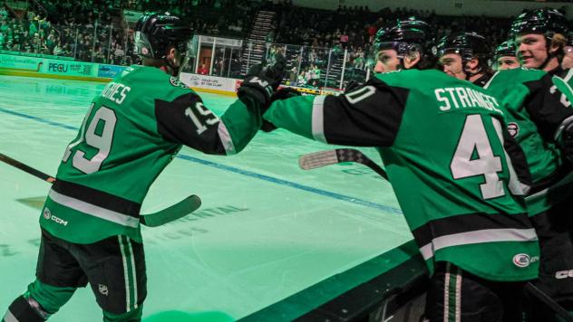 Texas Stars exchange congratulations along the bench