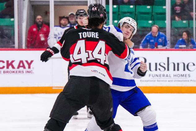 Belleville Senators defenceman Djibril Touré fights the Cleveland Monsters