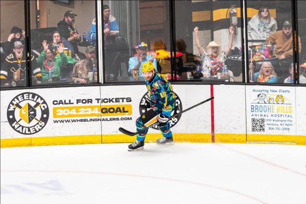 Wheeling Nailers forward Raivis Ansons