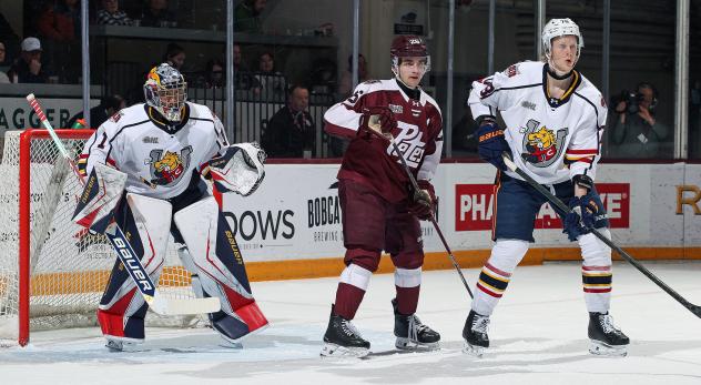 Peterborough Petes centre Aiden Young vs. the Barrie Colts