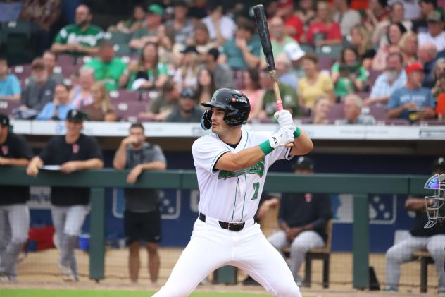 Dayton Dragons outfielder Anthony Stephan