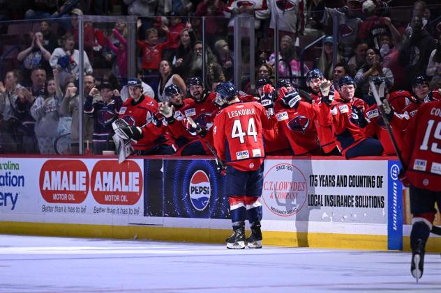 South Carolina Stingrays defenseman Stevie Leskovar