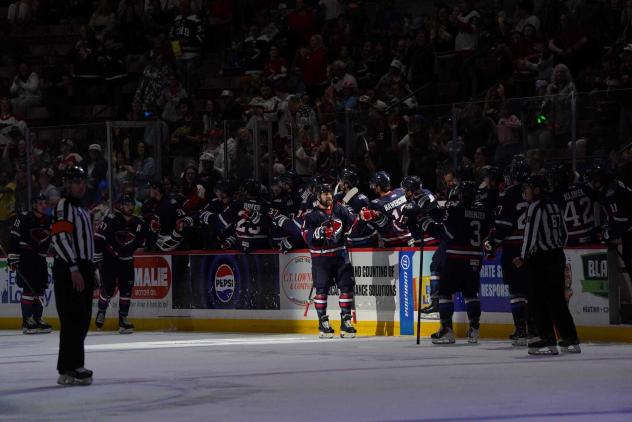 South Carolina Stingrays get the spotlight after a goal