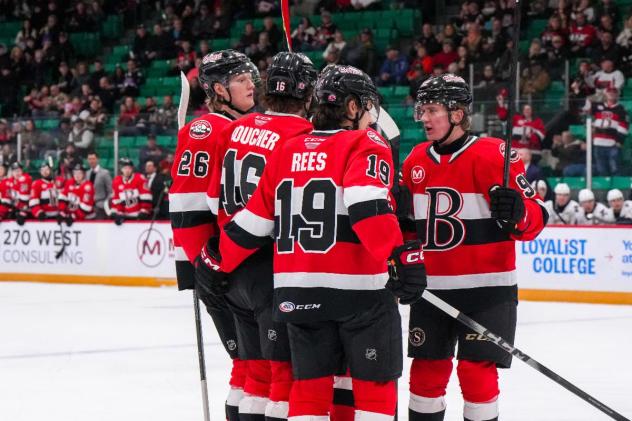 Belleville Senators huddle vs. the Springfield Thunderbirds