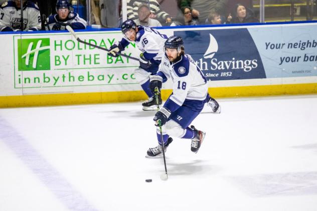 Worcester Railers defenseman Michael Suda controls the puck