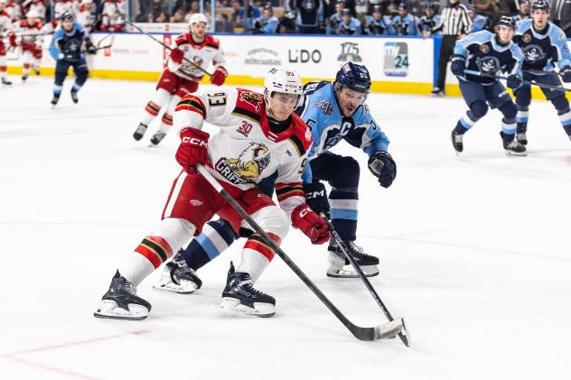 Grand Rapids Griffins' Amadeus Lombardi and Milwaukee Admirals' Kevin Gravel in action