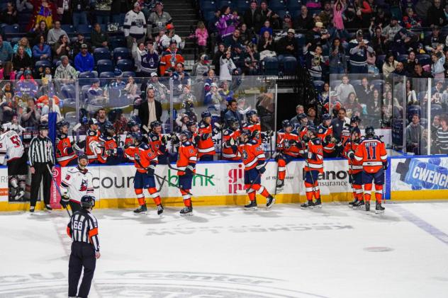 Worcester Railers exchange congratulations along the bench