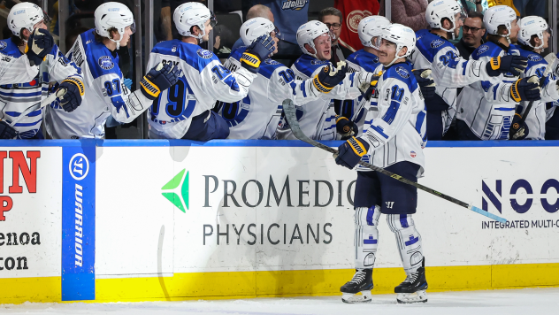 Toledo Walleye defenseman Brendon Michaelian along the bench