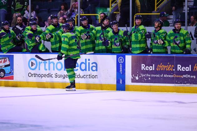 Florida Everblades forward Sam Stange congratulated along the bench