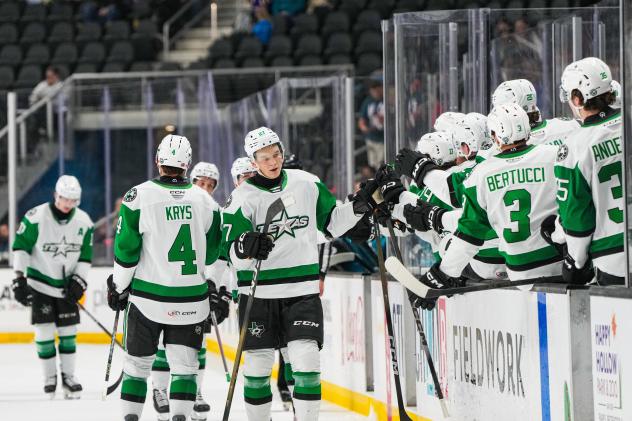Texas Stars along the bench