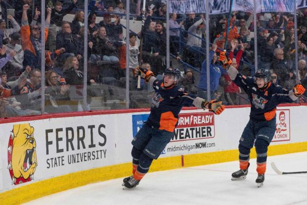 Flint Firebirds celebrate a goal