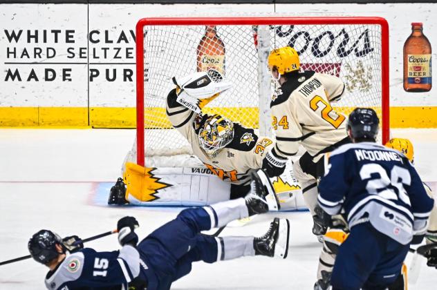 Wheeling Nailers goaltender Taylor Gauthier