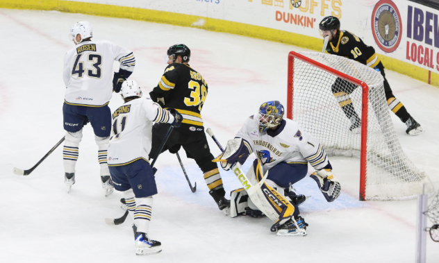 Springfield Thunderbirds goaltender Vadim Zherenko vs. the Providence Bruins