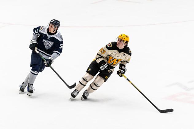 Worcester Railers forward Matt DeMelis (left) vs. the Wheeling Nailers