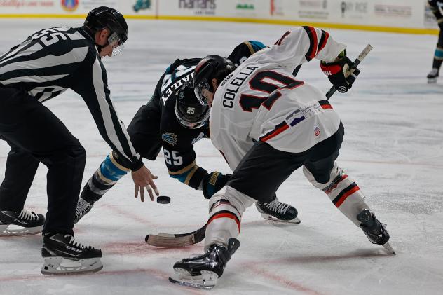 Rapid City Rush forward Maurizio Colella faces off with the Tahoe Knight Monsters