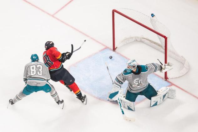San Jose Barracuda goaltender Jakub Skarek and forward Donavan Houle vs. the Coachella Valley Firebirds