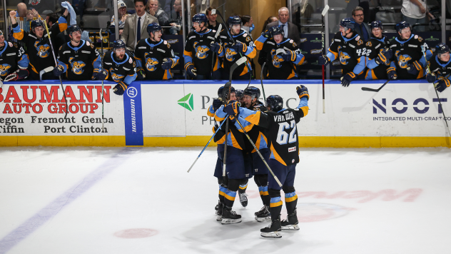 Toledo Walleye celebratory huddle after a big goal