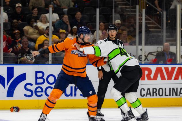 Greenville Swamp Rabbits fight with the Savannah Ghost Pirates