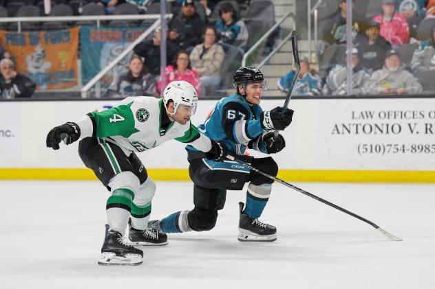 Texas Stars defenseman Luke Krys vs. the San Jose Barracuda