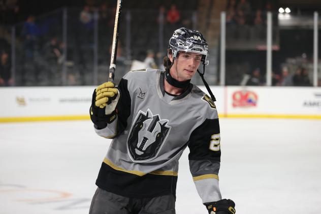 Henderson Silver Knights forward Trevor Connelly